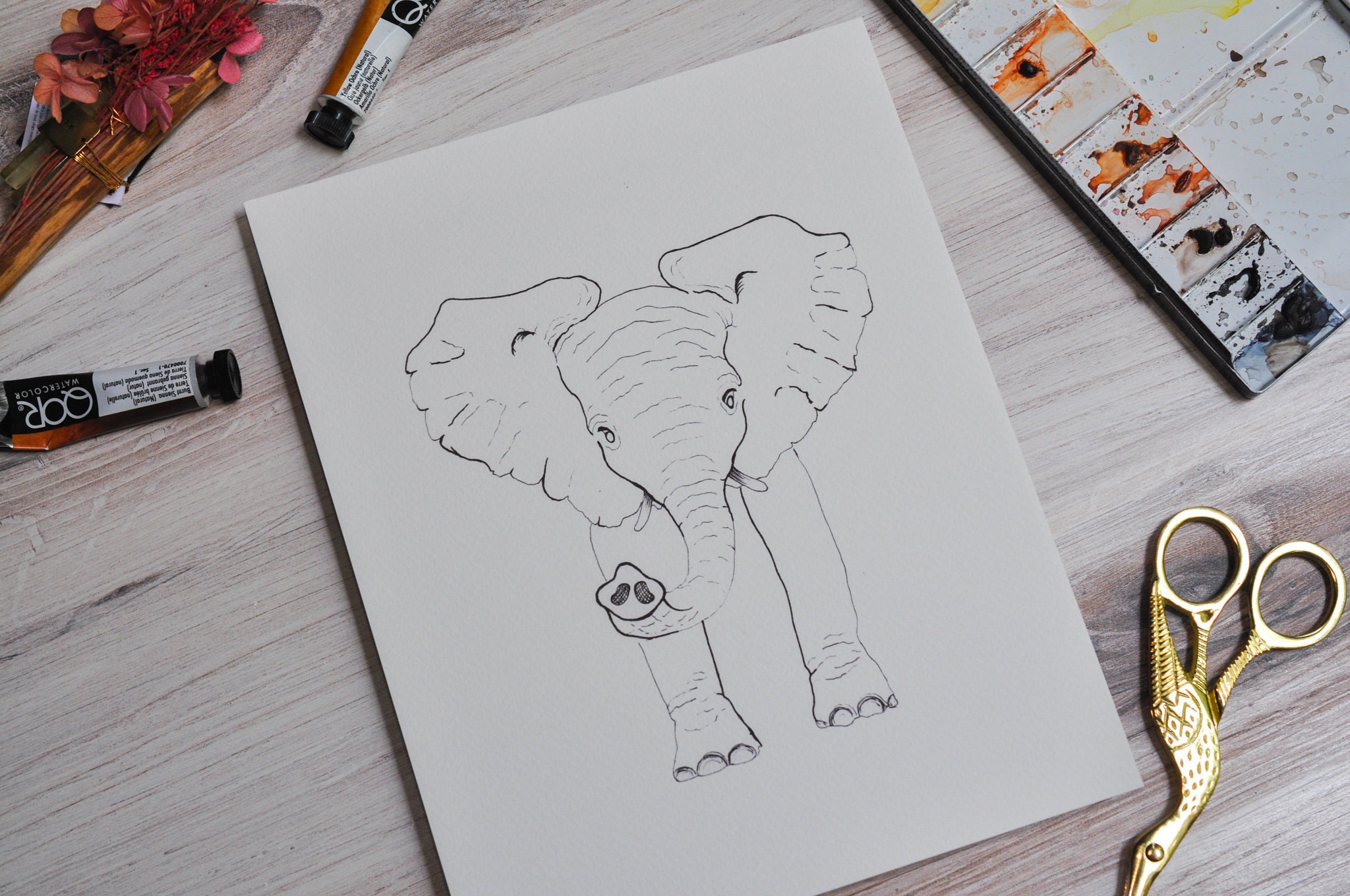 DIY KIT Watercolor Baby Elephant Paint Kit for Adult Etsy