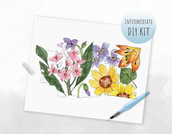 DIY KIT Watercolor Washington Wildflowers adult Paint Set 