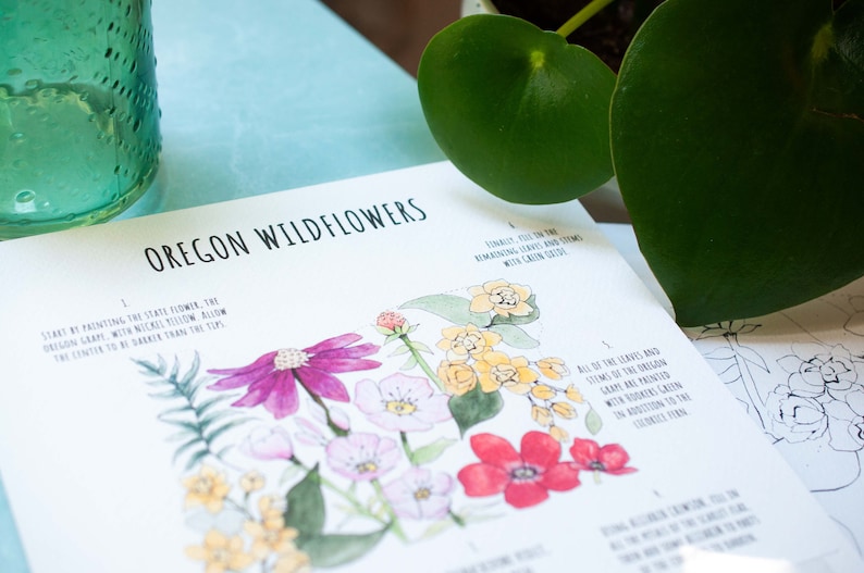 K&ouml;nnte beinhalten: Ein wei&szlig;er, lehrreicher Kunstdruck mit dem Titel OREGON WILDFLOWERS, der eine Aquarellillustration verschiedener Blumen in Rosa-, Rot-, Gelb- und Gr&uuml;nt&ouml;nen zeigt, begleitet von nummerierten Textanweisungen zum Malen der botanischen Motive.