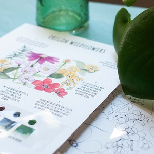 K&ouml;nnte beinhalten: Ein Aquarell-Mal-Anleitungsblatt mit dem Titel Oregon Wildflowers, das eine Blumenillustration mit rosa, roten und gelben Bl&uuml;ten zeigt. Die Seite enth&auml;lt gedruckte Anweisungen, Farbmischhilfen und kleine Farbmuster sowie eine separate Linienskizze.
