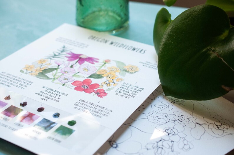 K&ouml;nnte beinhalten: Ein Aquarell-Mal-Anleitungsblatt mit dem Titel Oregon Wildflowers, das eine Blumenillustration mit rosa, roten und gelben Bl&uuml;ten zeigt. Die Seite enth&auml;lt gedruckte Anweisungen, Farbmischhilfen und kleine Farbmuster sowie eine separate Linienskizze.