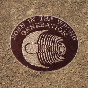 Born In the Wrong Generation - Trilobite Fossil Patch