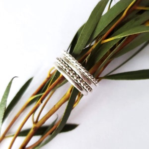 May include: A set of four silver stacking rings with different textures, including a beaded ring, a twisted ring, and a hammered ring. The rings are displayed on a branch of green leaves.