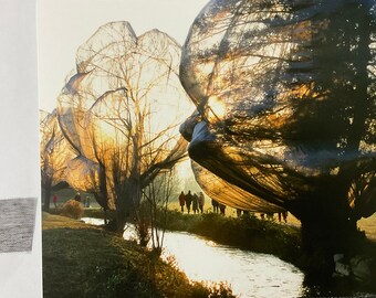 Christo and Jeanne Claude - Wrapped Trees, Switzerland 1997-98