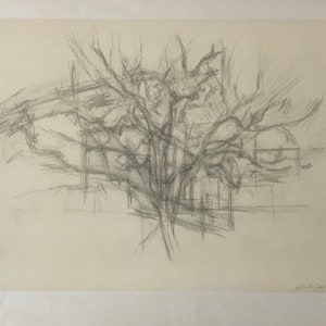 Alberto Giacometti - Tree - 1963, lithograph cm 50x37 limited edition