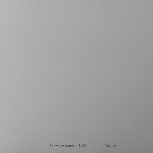 Andrè Masson shops - Le buisson ardent - limited edition lithography cm 52x37 with certificate
