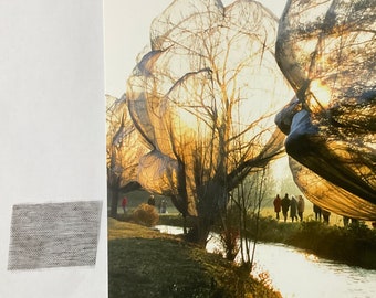 版画 Christo & Jeanne-Claude/Wrapped Trees-1 Christo and Jeanne Claude - Wrapped Trees, Switzerland 1997-98