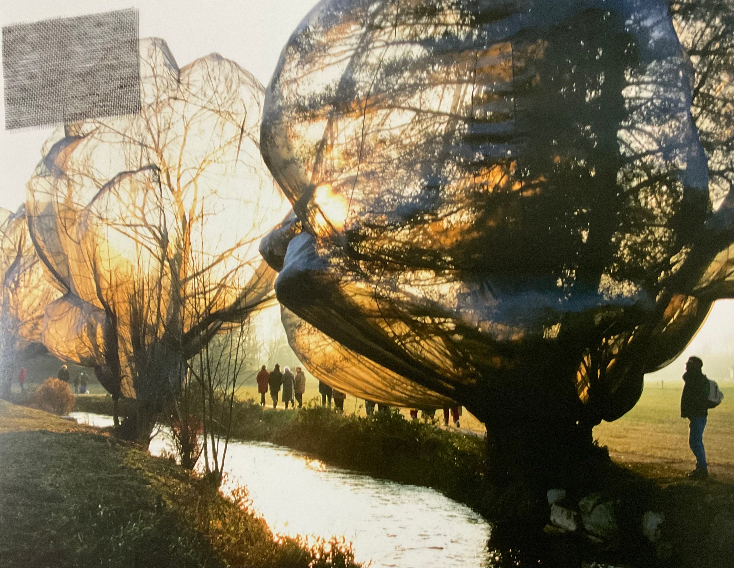 クリストとジャンヌ・クロード - 包まれた木々、スイス 1997-98 - cm