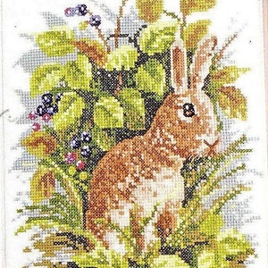 Patrón de punto de cruz en PDF de Conejo en el prado