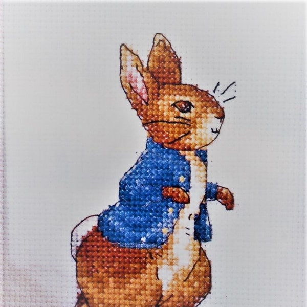 Peter Rabbit Counted Cross Stitch Pattern pdf