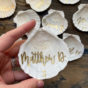 Shells With table number / Wedding Personalized Table Name Plates Place Card Decor Seating Chart Handwritten Beach Lake Bay Nautical Wedding