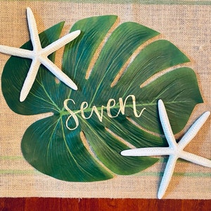 May include: A green tropical leaf with the word "Seven" written in gold script. Two white starfish are on either side of the leaf.