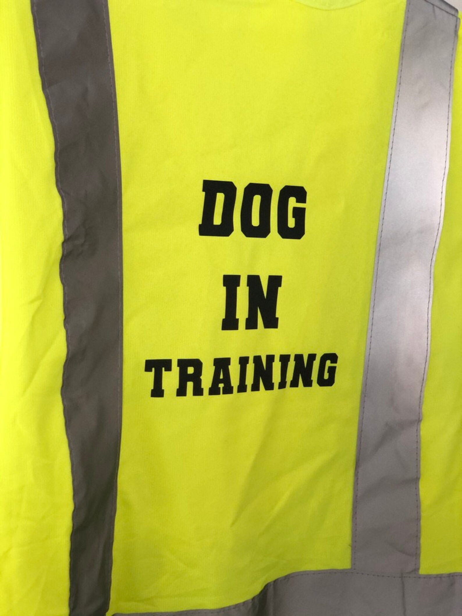 Dog in Training Vest for People / Dog Walking Trainer Behavior Etsy