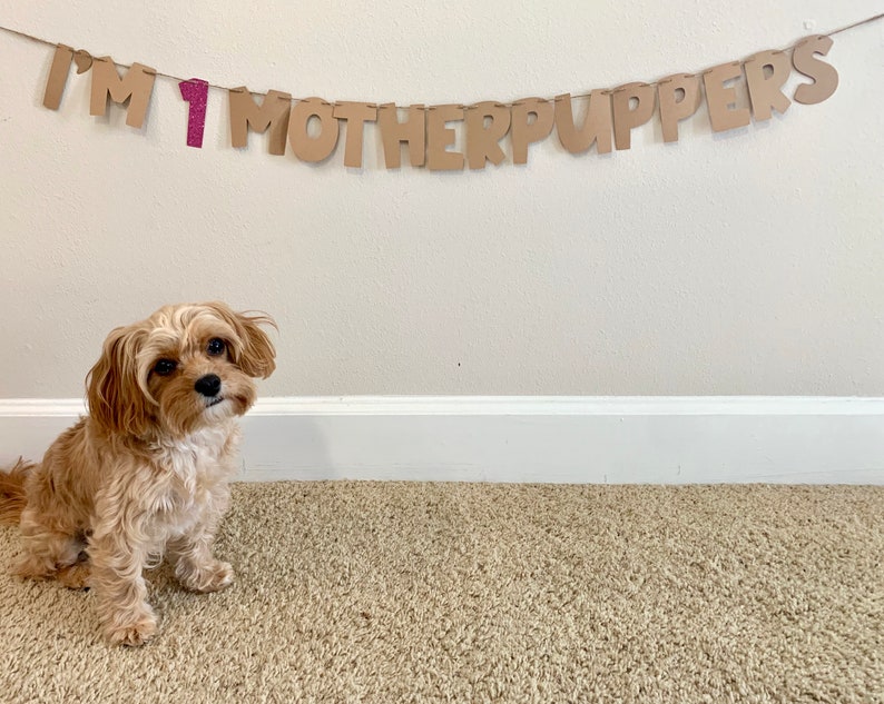 Motherpuppers birthday banner Custom dog birthday banner-puppy birthday party-dog party decor-Birthday banner for dog-dog/'s first birthday