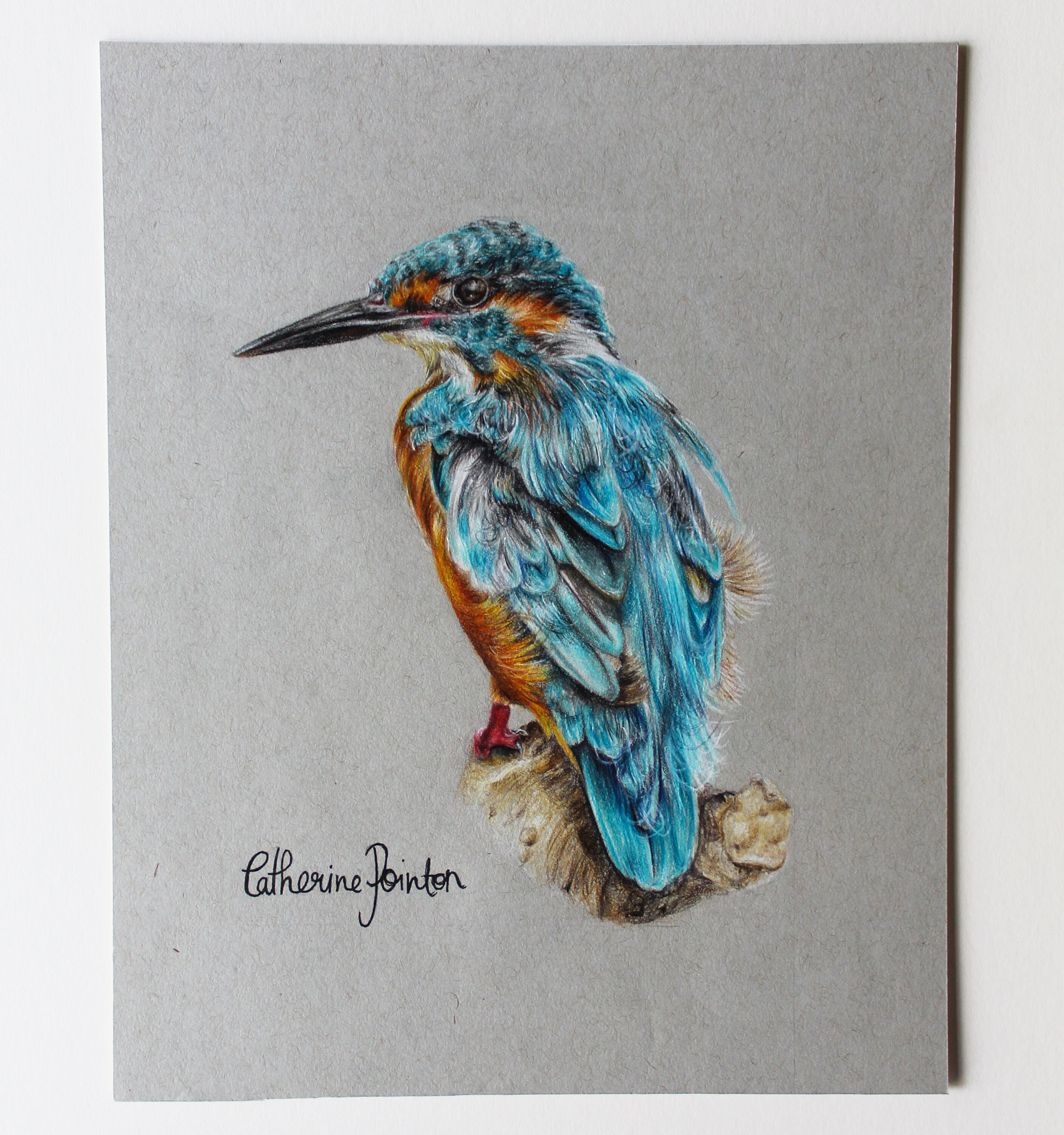 KINGFISHER COLOURED PENCIL Drawing 20cmX25cm Etsy