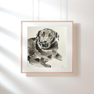 Pet Portrait