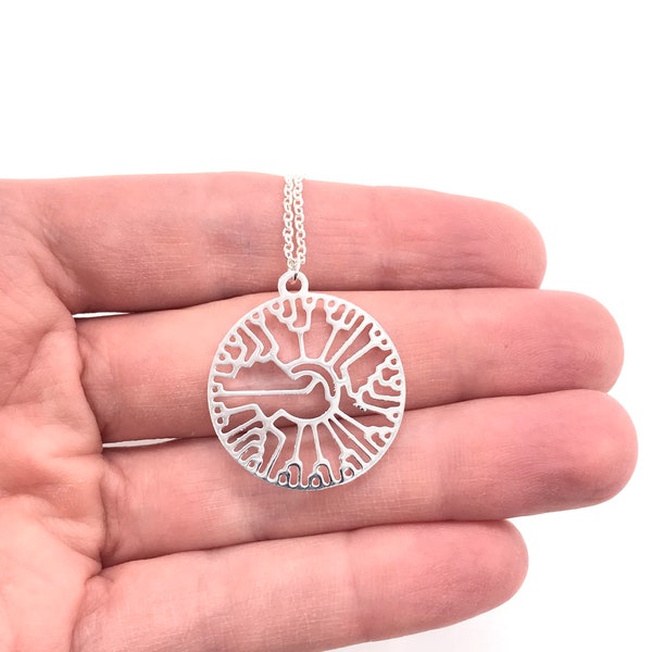 Biological Tree of Life Phylogenetic Tree Necklace Hillis Plot Evolution Biology Gift Tree of Life Science Gift Graduation Silver