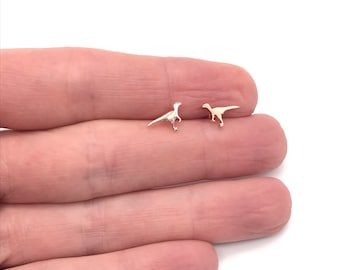 May include: A pair of silver dinosaur stud earrings. The earrings are small and delicate, and they feature a realistic dinosaur design.
