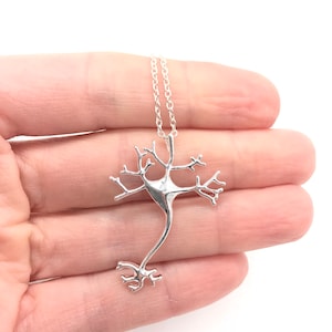 May include: A silver necklace with a detailed neuron pendant. The pendant is a 3D representation of a nerve cell.