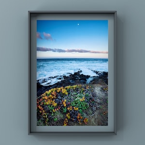 Peut inclure: Une photographie encadrée d'une côte rocheuse avec une mer bleue en arrière-plan. Le ciel est d'un bleu éclatant avec quelques nuages blancs. Au premier plan, on aperçoit une touffe de plantes vertes et jaunes.