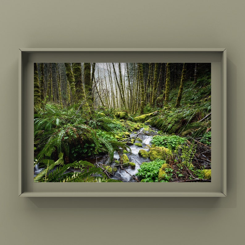 May include: A framed photograph of a lush forest scene. The image features a stream flowing through a vibrant green forest with moss-covered trees and ferns. The frame is a muted green color.