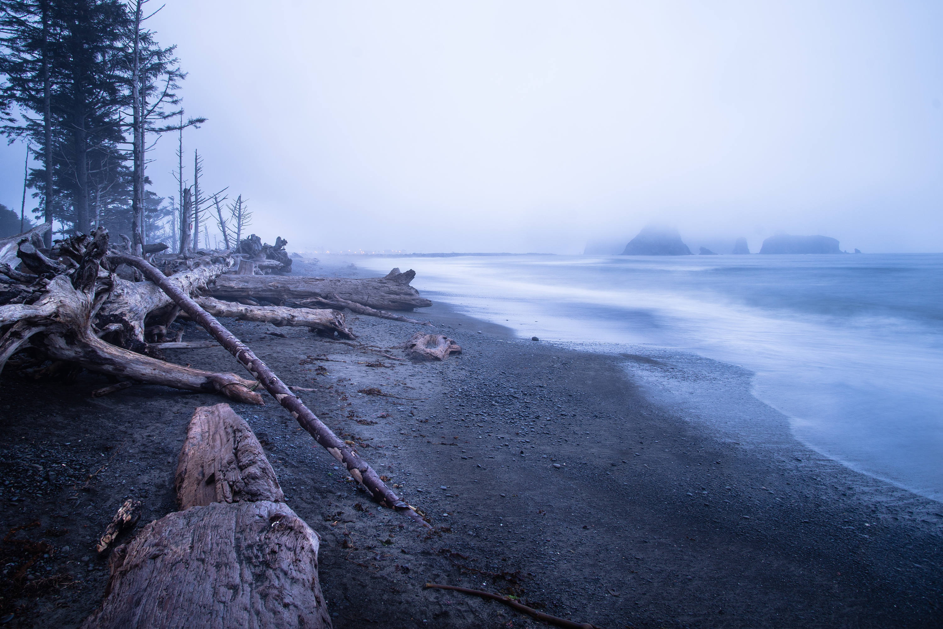 Giclée Fine Art Photography Print, Rialto Beach, Olympic Peninsula, Washington, Pacific Northwest, Moody Rugged Beach, Forest Wall Art