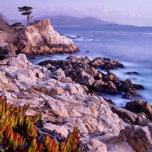 Giclée Fine Art Photography Print, Pebble Beach, Lone Cypress Tree, Monterey Bay, Northern California, Pacific Ocean