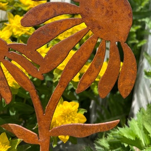 Rusty Coneflower Garden Stakes, Metal Art, Garden Decor, Coneflower, Garden Stakes, Rusty Garden Art, Rusty Garden Stakes image 6