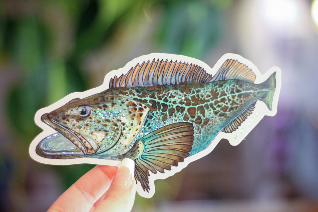Lingcod Sticker - Etsy