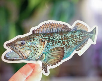 Lingcod Sticker