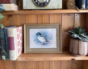 Vintage gerahmte Wandkunst Bild Goldeneye Duck Ente Basil Ede Gallery Wall Art