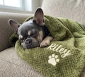 Personalised Waffle Pet Blanket, Custom Embroidered Dog Cat Name Throw product logo