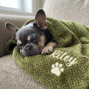 May include: A blue and tan French Bulldog puppy sleeping under a textured olive green blanket. The blanket features the embroidered name Riley in white cursive script above a white embroidered paw print design on the corner of the fabric.