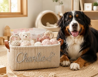 Personalized Pet Toy Storage Basket, Custom Dog Cat Toy Bin