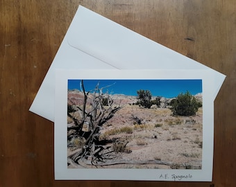 New Mexico Southwest Juniper Tree Photo Card