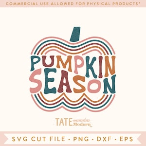 May include: A digital design featuring a stylized pumpkin with the text "Pumpkin Season" in a retro font. The pumpkin is made up of wavy lines in shades of pink, orange, brown, and teal.