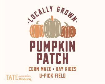 Kürbis Patch SVG schneiden Datei - Retro Herbst svg, Retro Pumpkin Patch Zeichen svg, modernes Bauernhaus Herbst svg - Kommerzielle Nutzung, digitale Datei