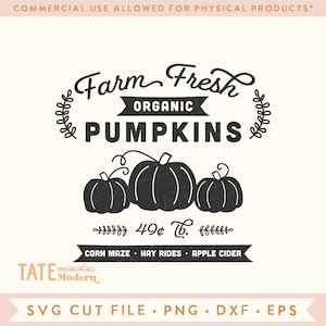 May include: Black and white graphic design featuring a farm fresh organic pumpkin patch with the text "Farm Fresh Organic Pumpkins" and "49¢ lb.". The graphic also includes the text "Corn Maze - Hay Rides - Apple Cider" and the logo "Tate Made Modern".