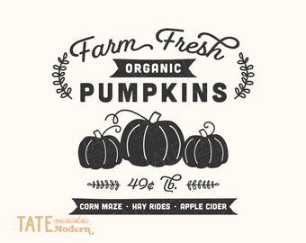 Bauernhof Frische Bio Kürbisse SVG Schnitt Datei - Retro Herbst svg, Retro Pumpkin Patch svg, Bauernhaus Halloween svg - Kommerzielle Nutzung, digitale Datei