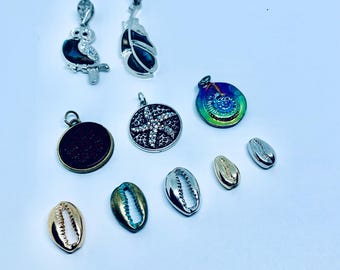 Shell Pendant/Charm, Abalone, Starfish, Cowrie Shell, For Bracelets, Necklaces ##10