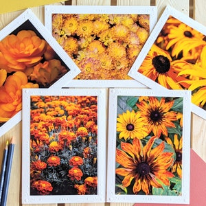 Yellow and Orange Summer Flower Garden — Nature Photography — 5 Blank Greeting Cards