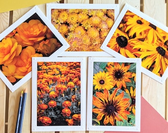 Yellow and Orange Summer Flower Garden — Nature Photography — 5 Blank Greeting Cards