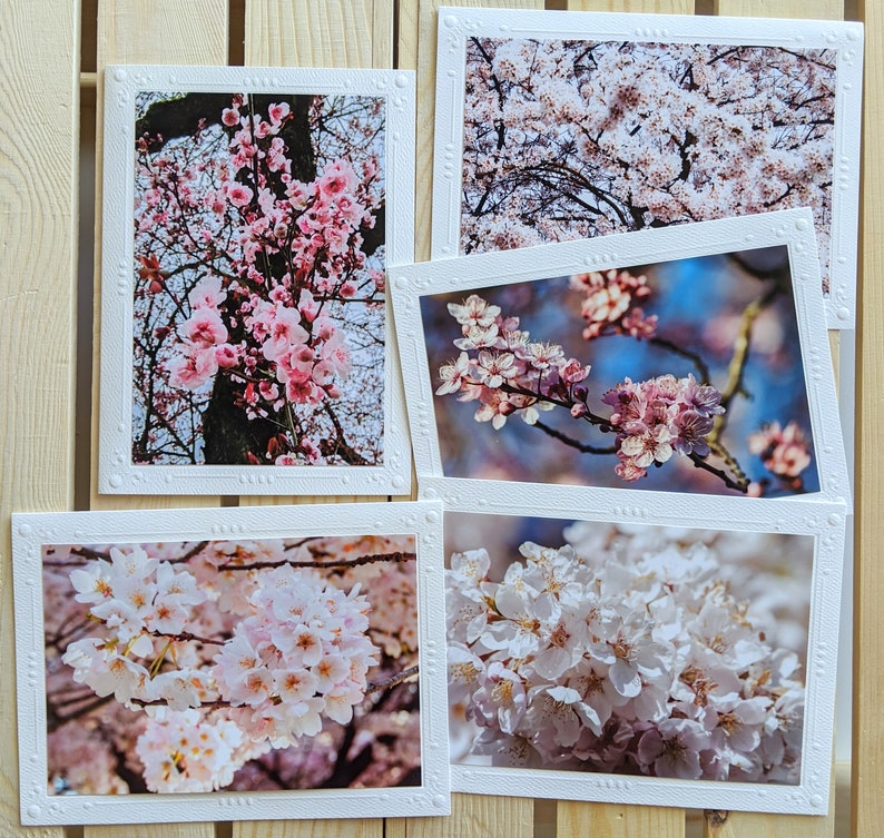 Cherry Blossoms Nature Photography 5 Blank Greeting Cards image 7