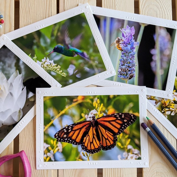 Garden Visitors — Nature Photography — 5 Blank Greeting Cards