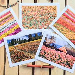 Tulip Fields — Nature Photography — 5 Blank Greeting Cards
