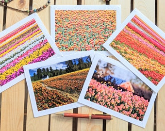 Tulip Fields — Nature Photography — 5 Blank Greeting Cards