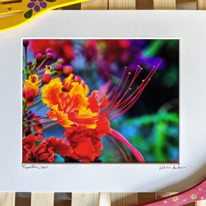 Tabachin flower  — Matted Photograph — Wall Art