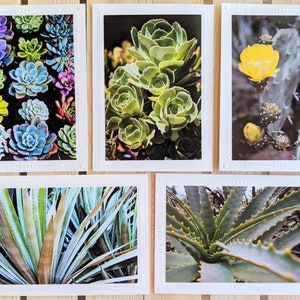 Cactus Garden — Nature Photography — 5 Blank Greeting Cards