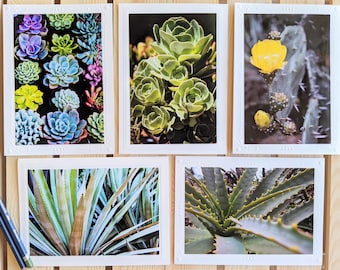 Cactus Garden — Nature Photography — 5 Blank Greeting Cards