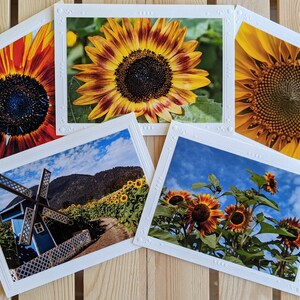 Sunflower Fields — Nature Photography — 5 Blank Greeting Cards